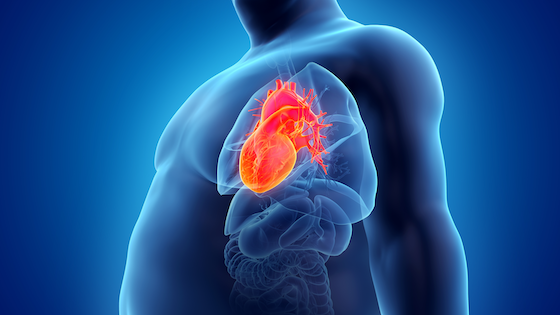 Wegovy heart benefits study shows cardiovascular protection beyond weight loss in 2025 research